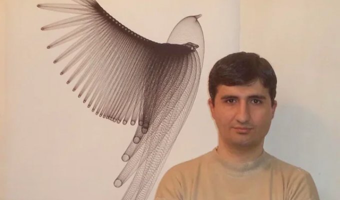 Art from formula (5 photos)