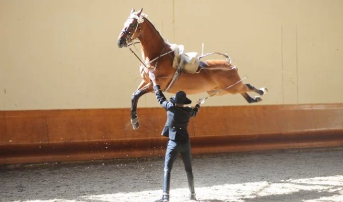 Варто придивитися: 17 кумедних знімків із серії «Показалось» (17 фото)