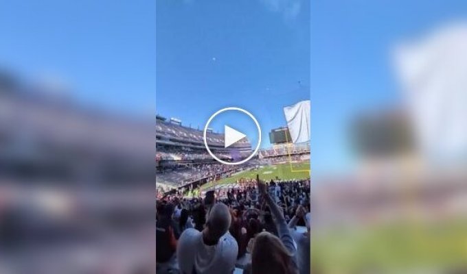 A parachutist's fall into a stadium in the US was captured on video