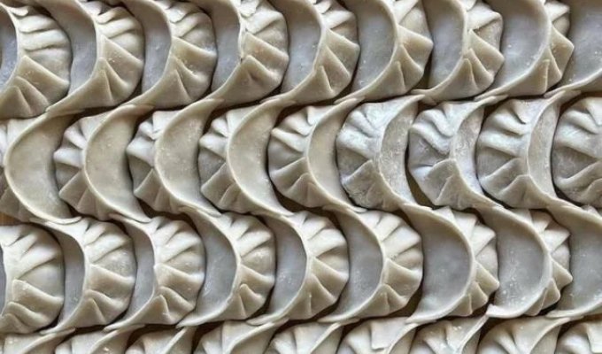 A selection of photos for perfectionists (20 photos)