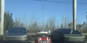 Cool pictures. Issue 3974 (87 photos)