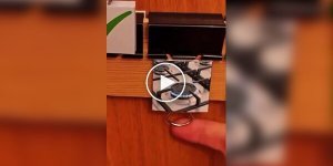 Домашняя хитрость для тревожников