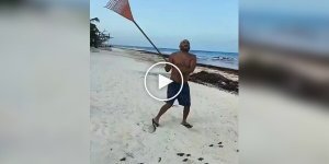 Чоловік прийшов на допомогу черепахам