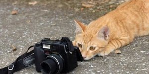 Прикольные картинки. Выпуск 3984 (87 фото)