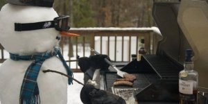 Прикольные картинки. Выпуск 3982 (116 фото)