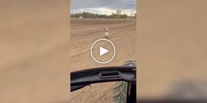 Самая милая доставка обеда