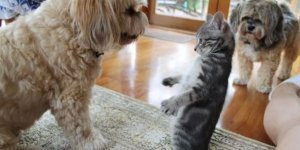 Cool pictures. Issue 3969 (87 photos)