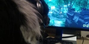 Cool pictures. Issue 3972 (116 photos)