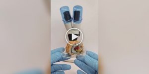 A blogger showed what sushi looks like under a microscope