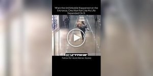 Миттєва реакція охоронця