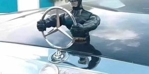 Cool pictures. Issue 3990 (30 photos)