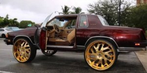 Cool pictures. Issue 3966 (115 photos)