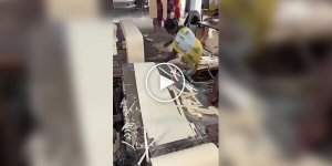 How matches are made in India: the production process