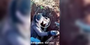 Rescue, Joy, and an Unexpected Sequel