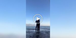 Бродячий кот добавил юмора в романтическое видео пары