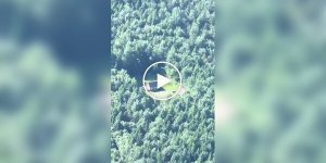 Идеальное жилье для интроверта
