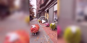 Flower sheep outside a store in New York