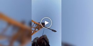 Высота, короткая веревка и железные нервы