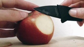 Можно смотреть вечно: 15 залипательных гифок, на которых просто режут вещи (16 гифок)