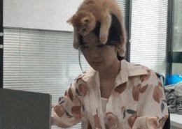 Cool gifs. Issue 2732